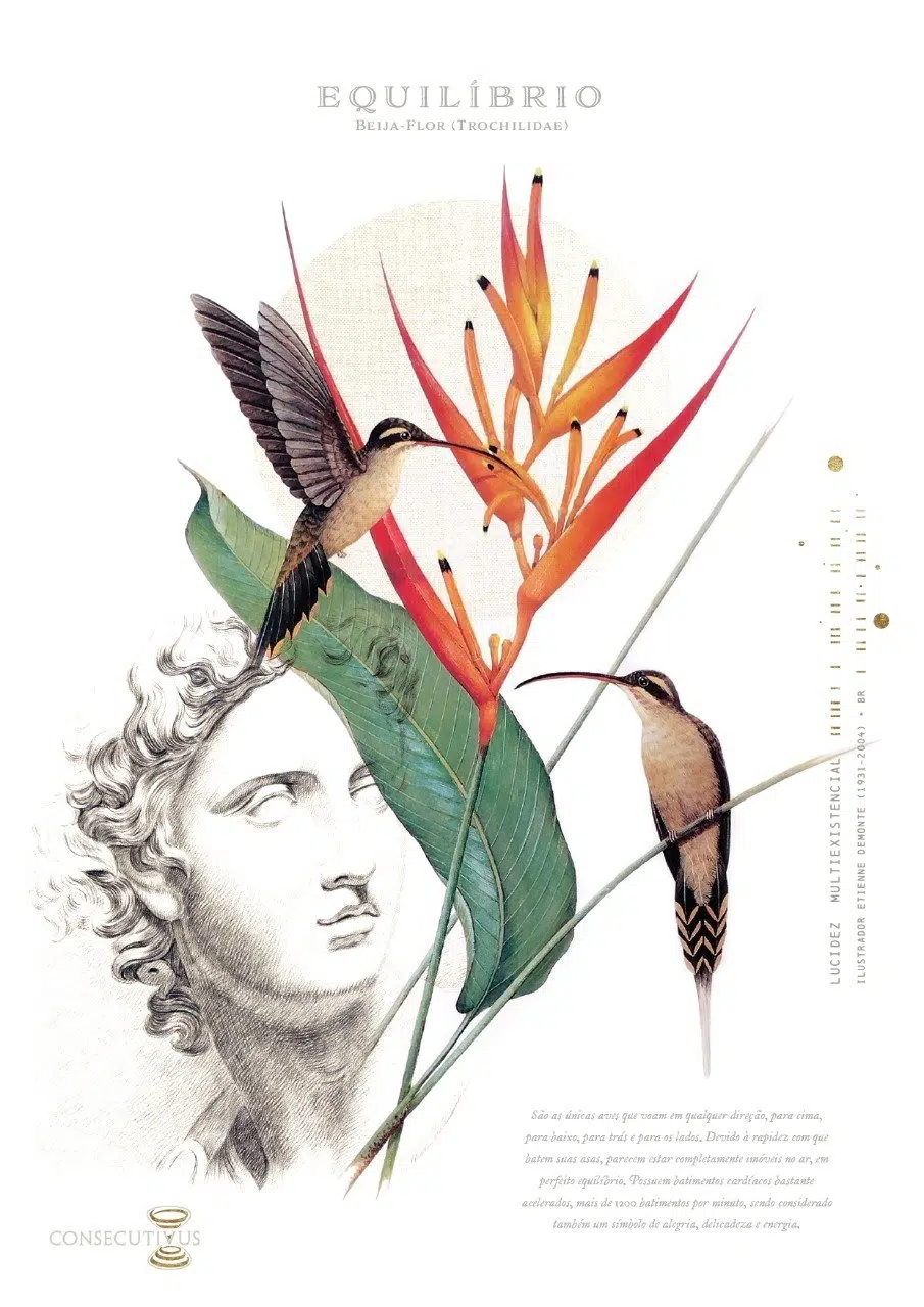 Beija-flor, uma das cotas de doação da campanha